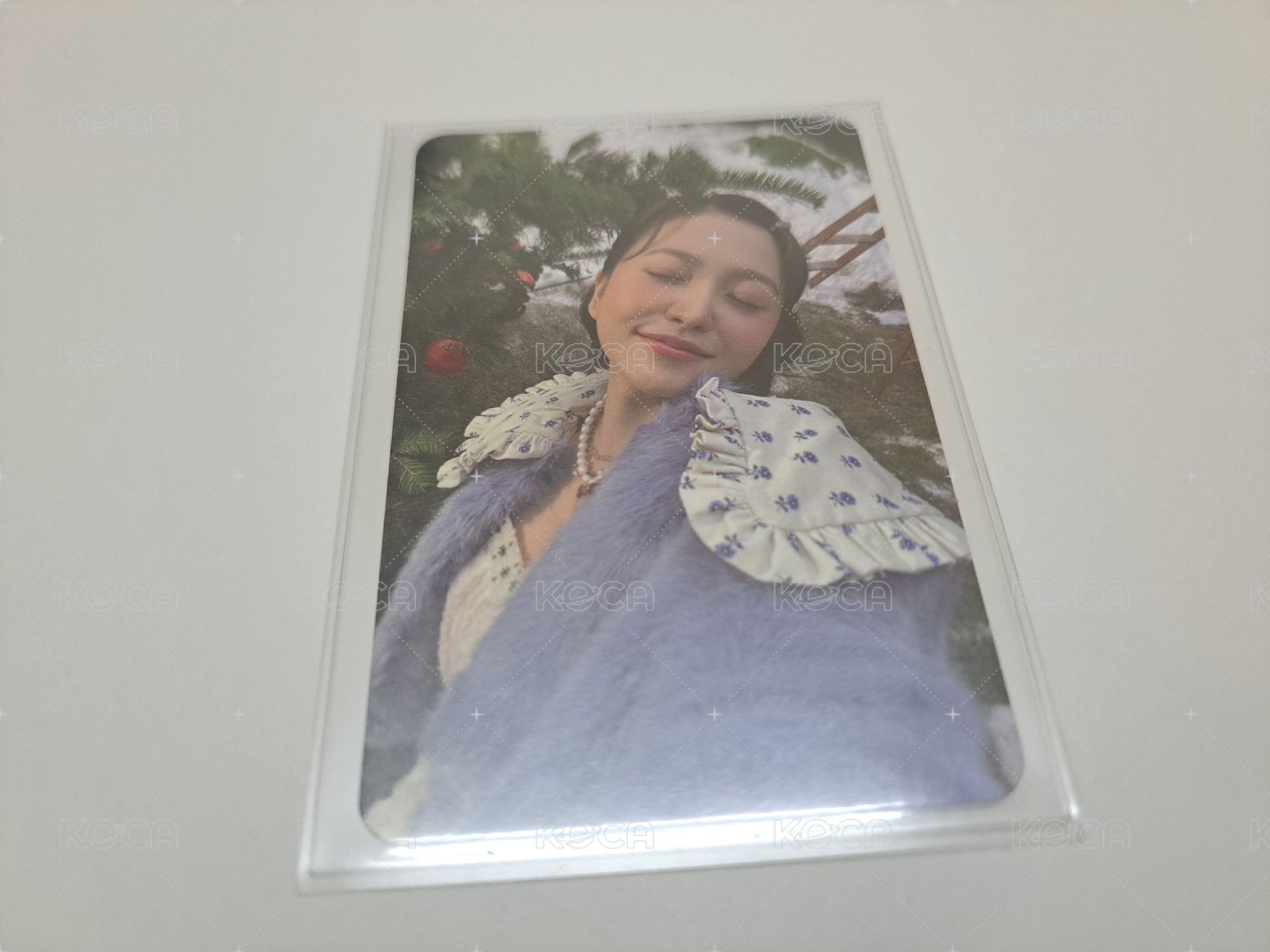2022冬專