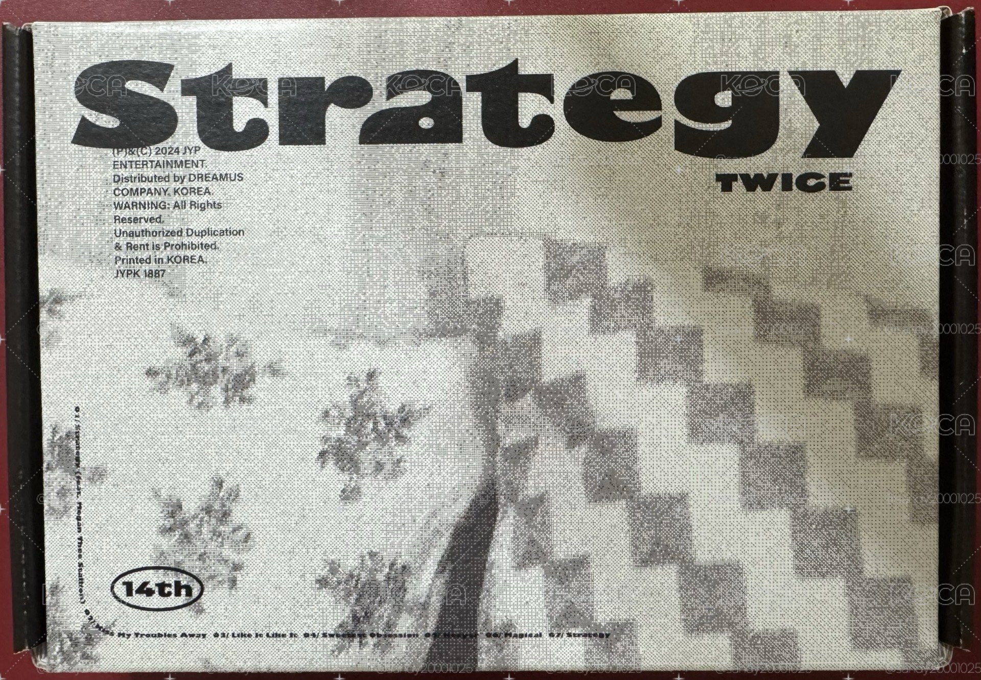 TWICE strategy空專