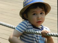 魚
