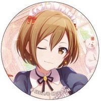 細閃 vol.8 C 徽章 女僕花後