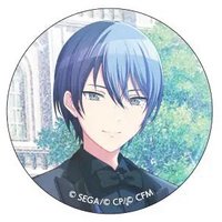 細閃 vol.9 A 徽章 婚活花前