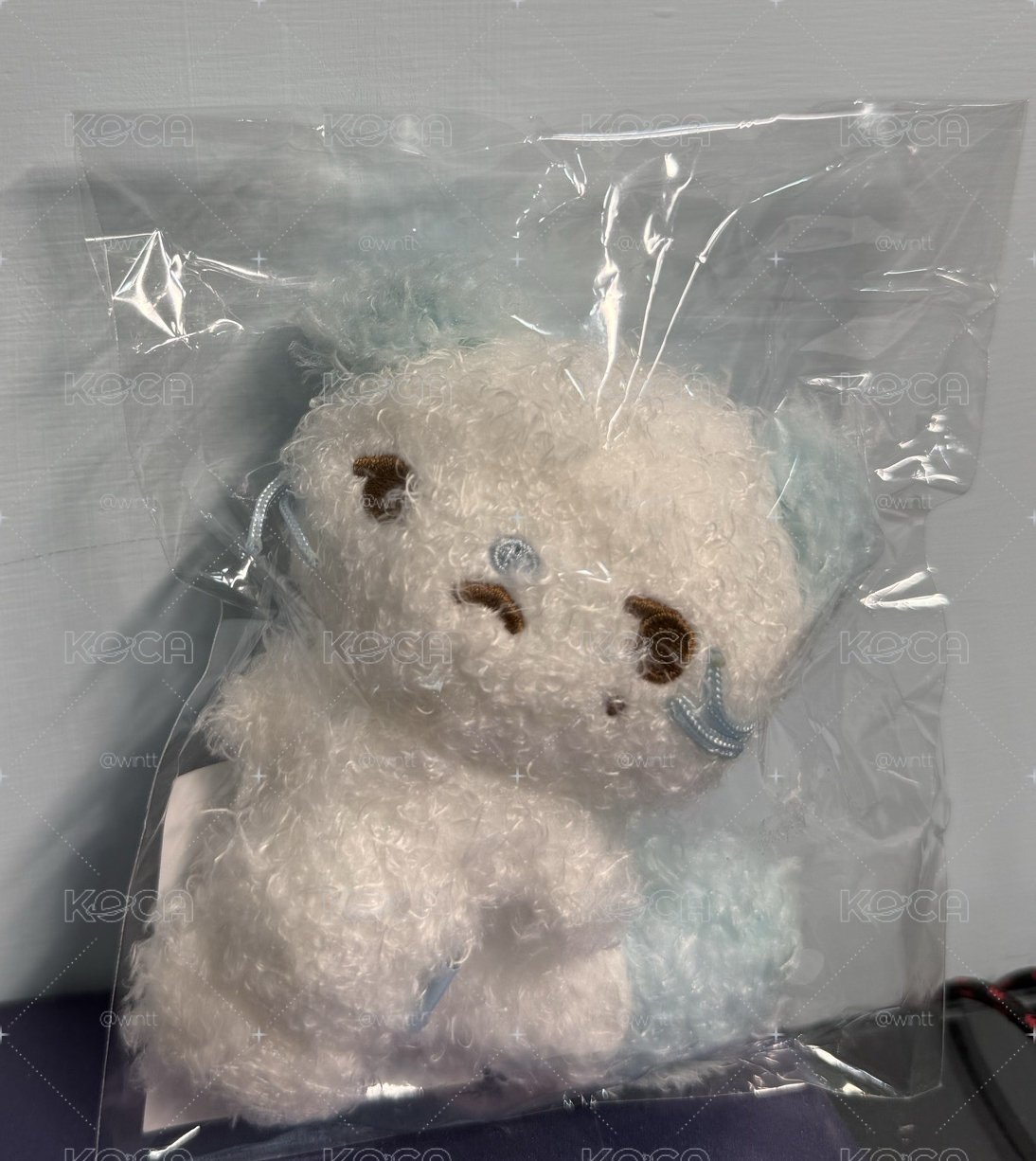 jiwoo娃 現貨