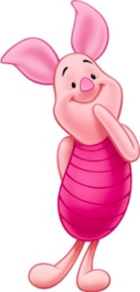 小豬