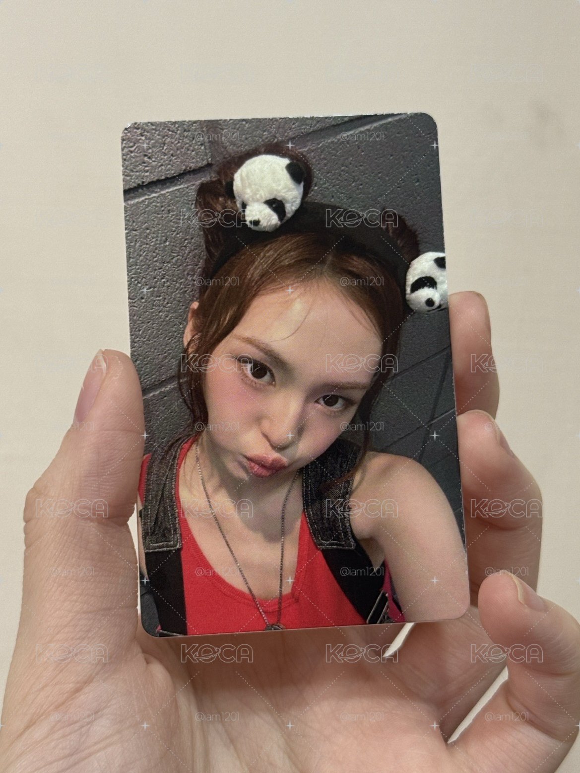 上海699🐼滿額-熊貓柒🐱