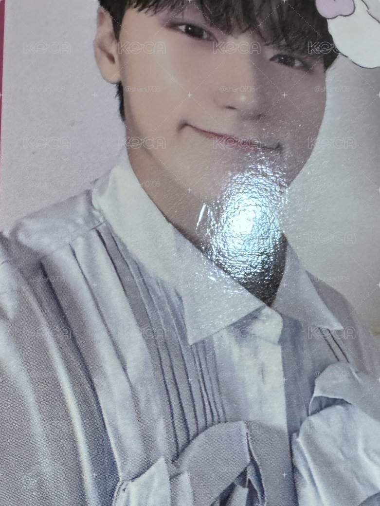 狗勾貓貓