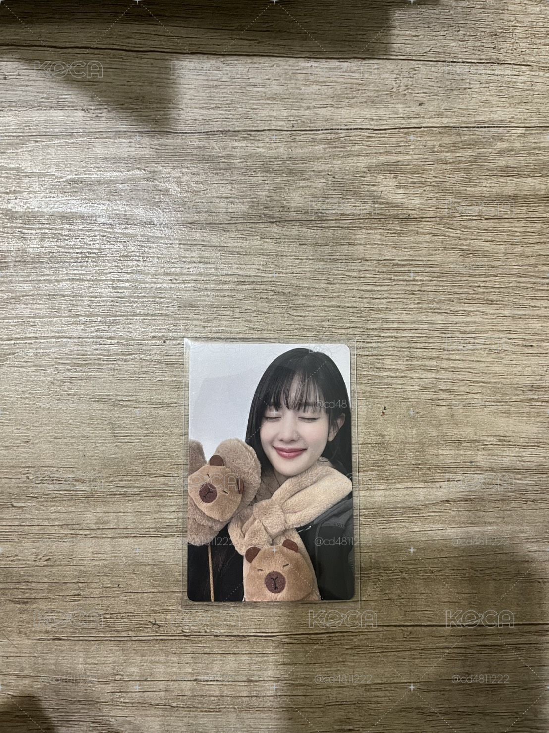正規二 yzy 8.0 特典卡 卡皮巴拉