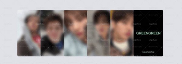 wvs 預售特典 一套