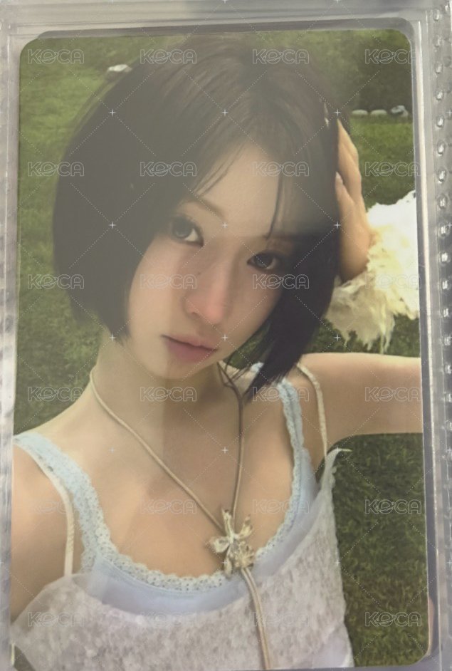 SDL卡冊卡