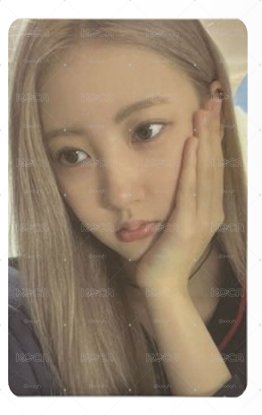 單封預購藍