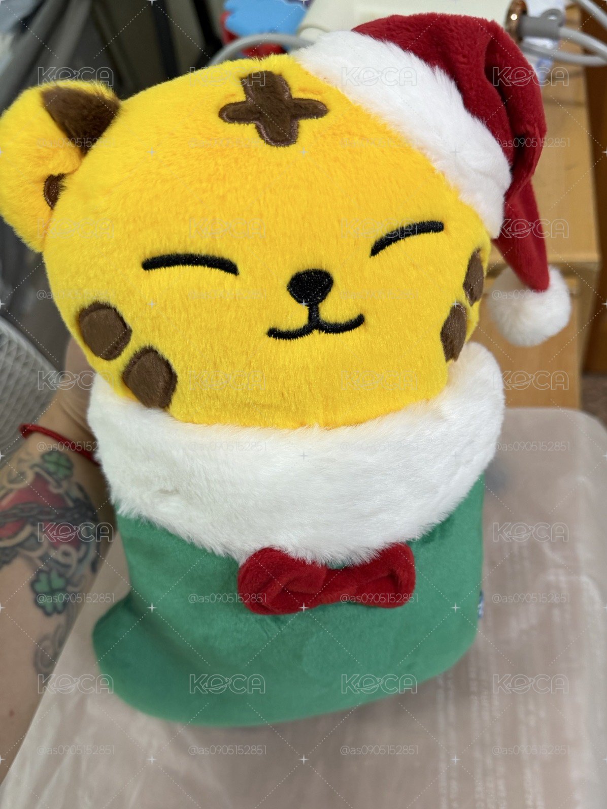 Hoshi  MINITEEN 聖誕大娃