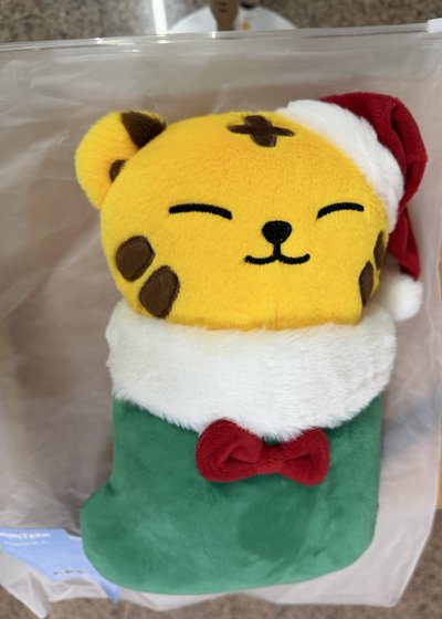 Hoshi  MINITEEN 聖誕大娃
