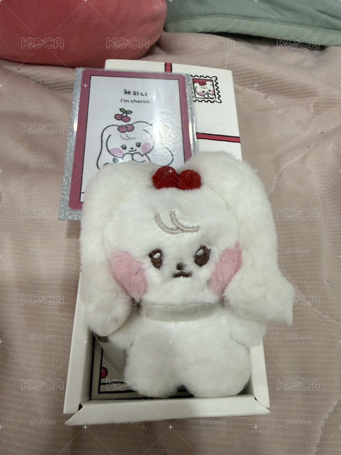 員小娃
