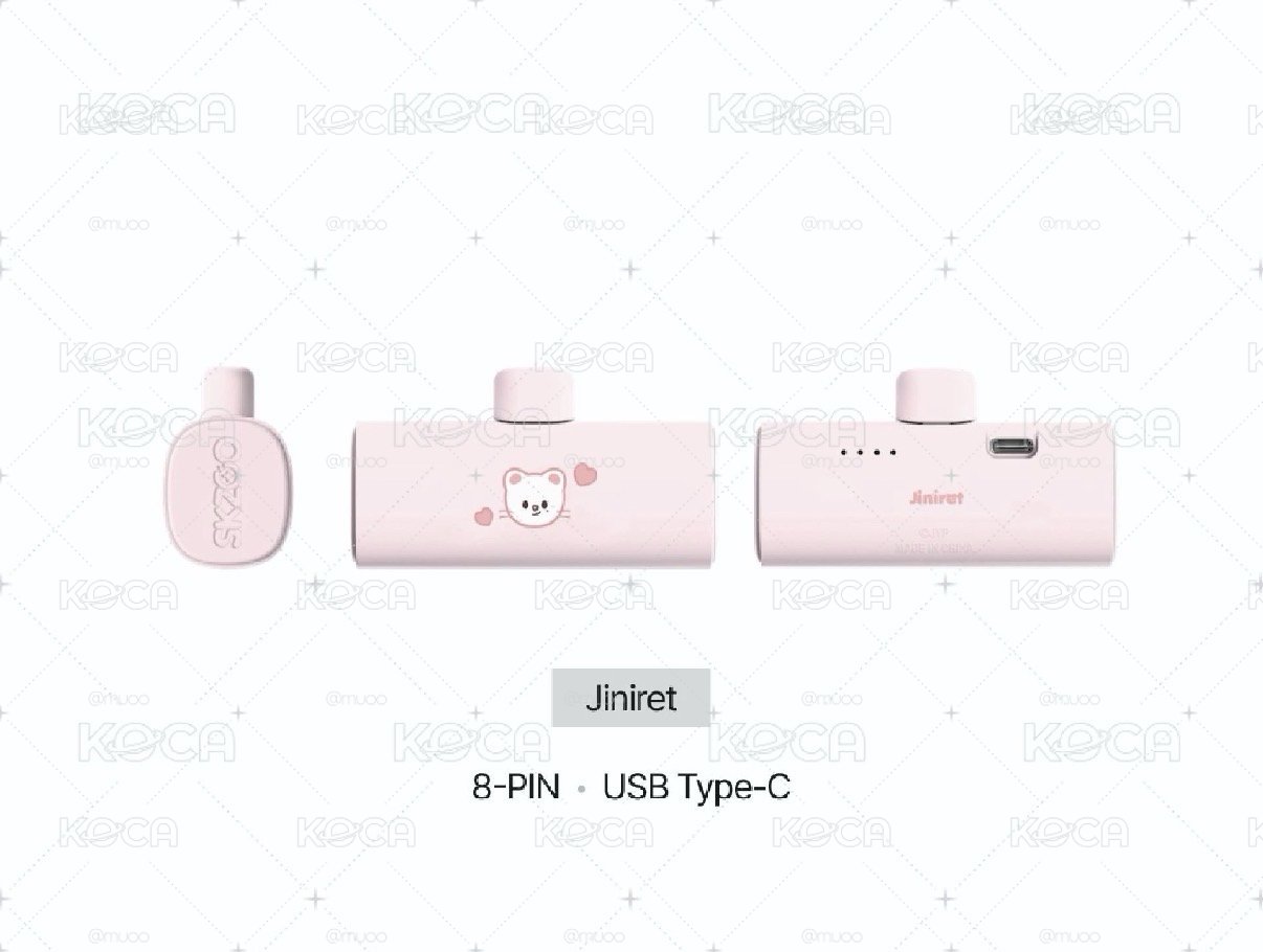 辰行動電源type C