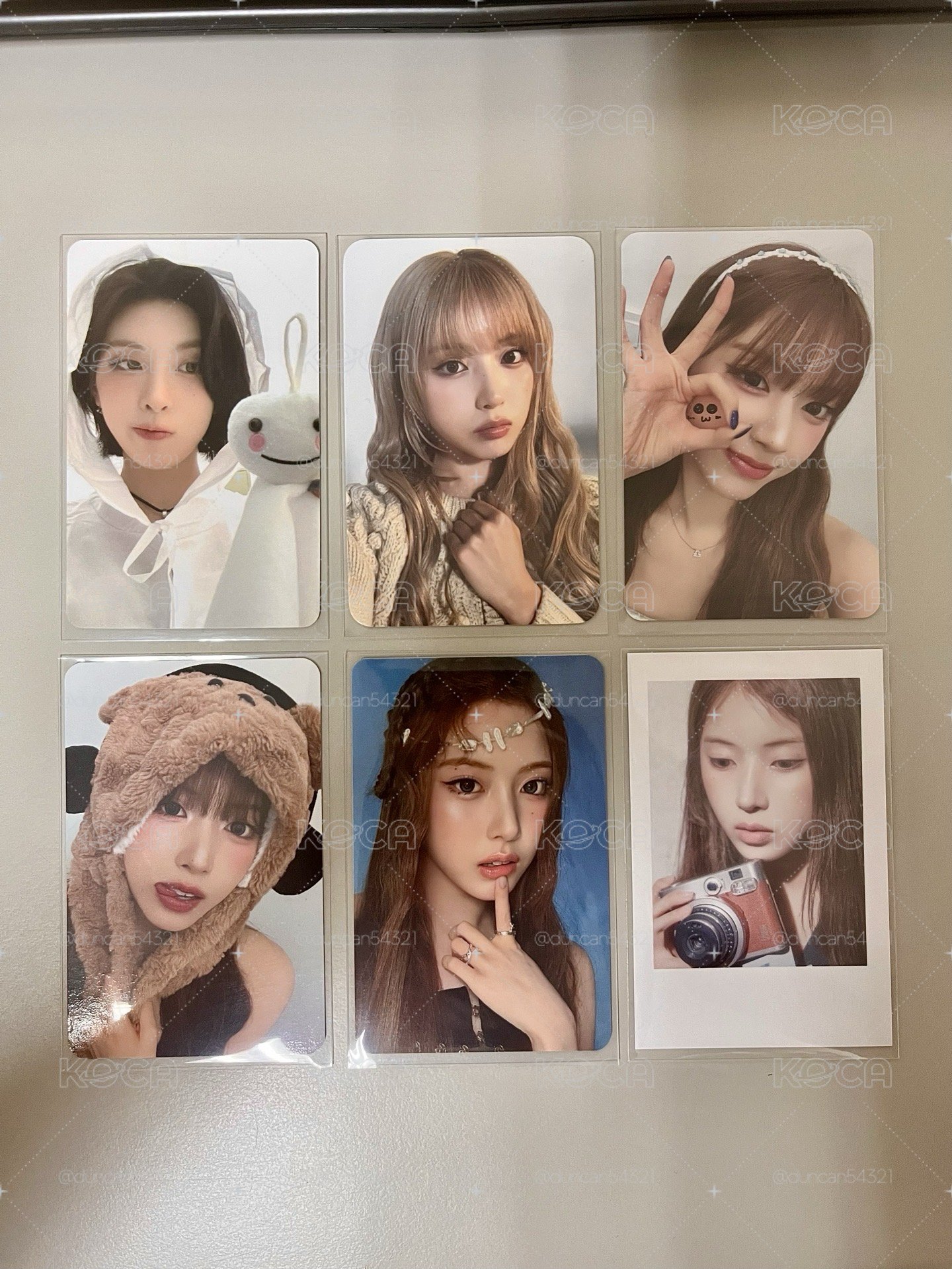 裴友小卡盤 🐤🐶