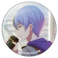 細閃 vol.11 C 徽章 打拳花前