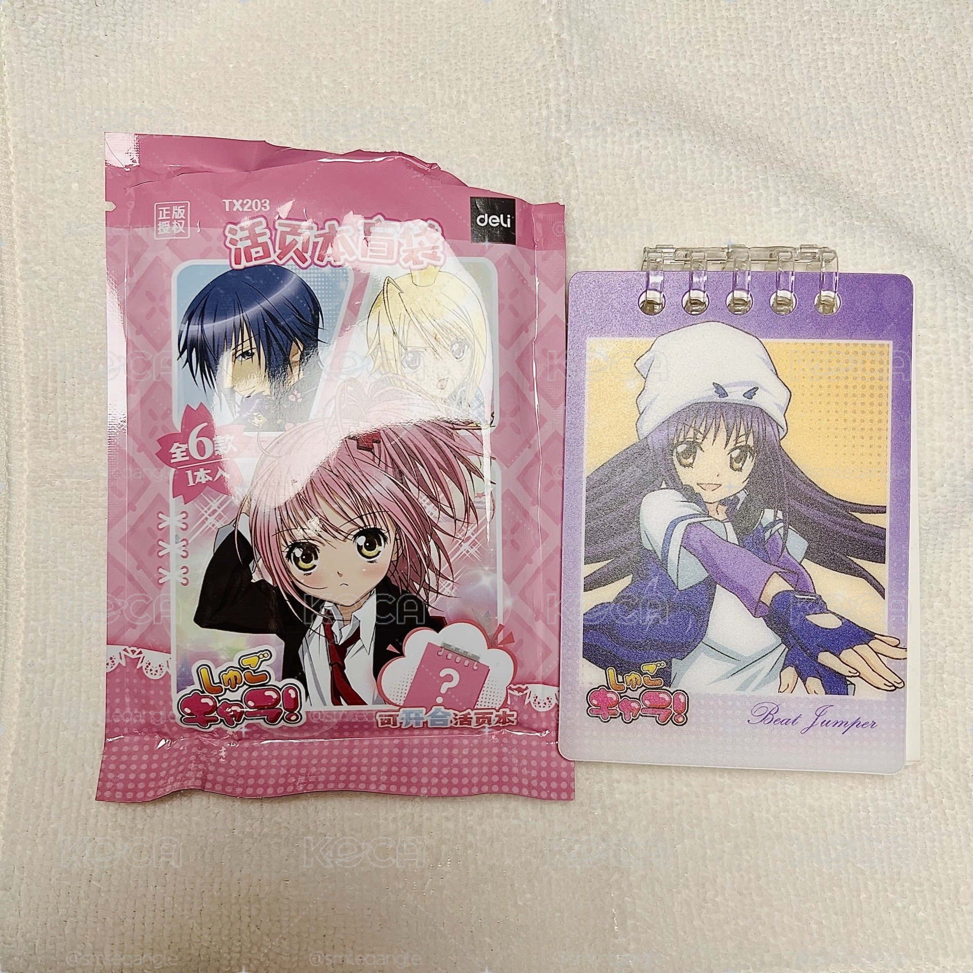 藤咲撫子／藤咲凪彥 活頁本