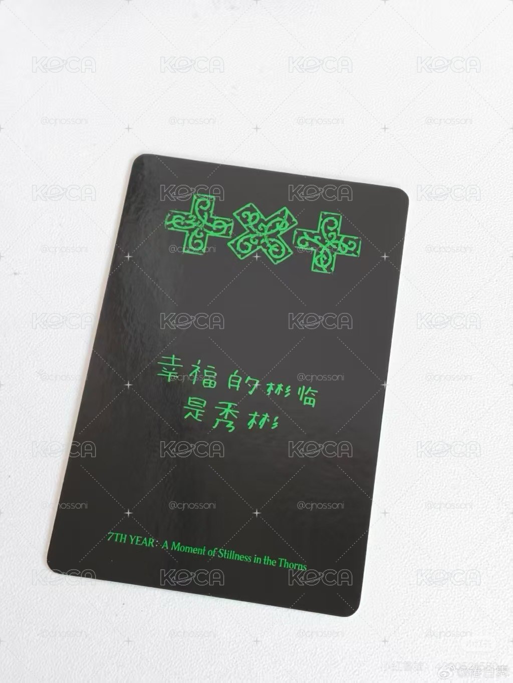 彬彬中文卡背&小狗彬