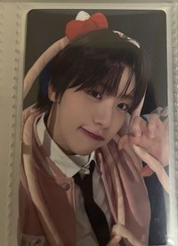 毛線貓雄基