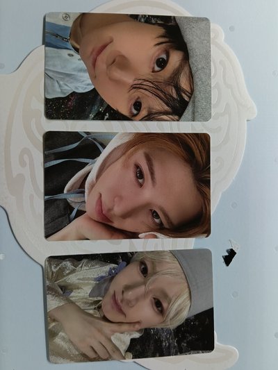 nct wish smini ryo sakuya專 sion卡