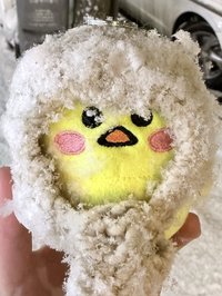 一些哩哩摳摳