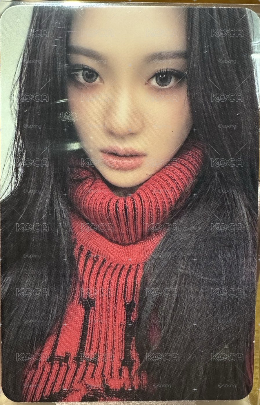 紅毛衣寧