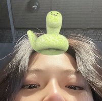 河井瑠花的狗