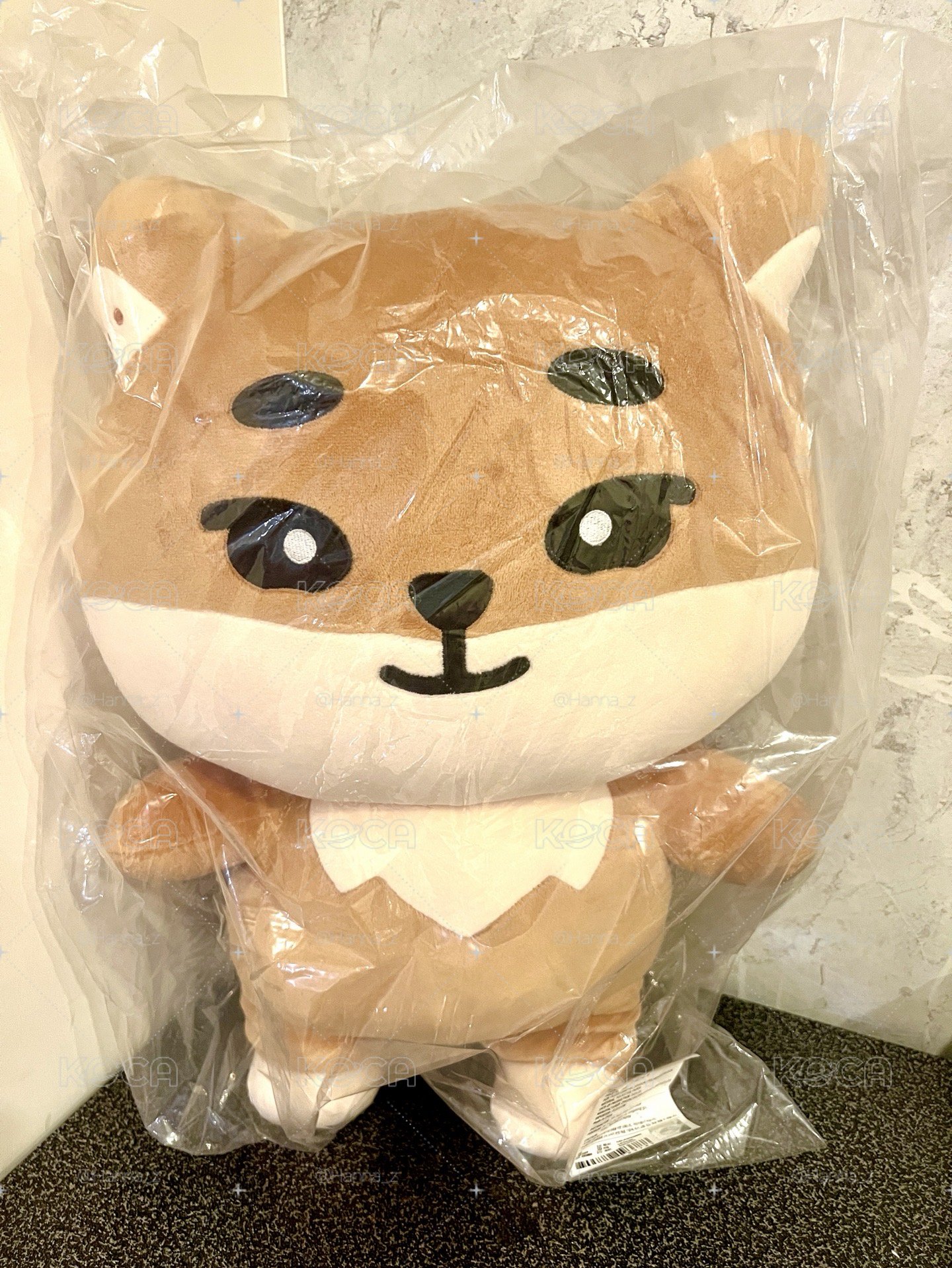 全新24聖誕控🦊巨娃含拍立得