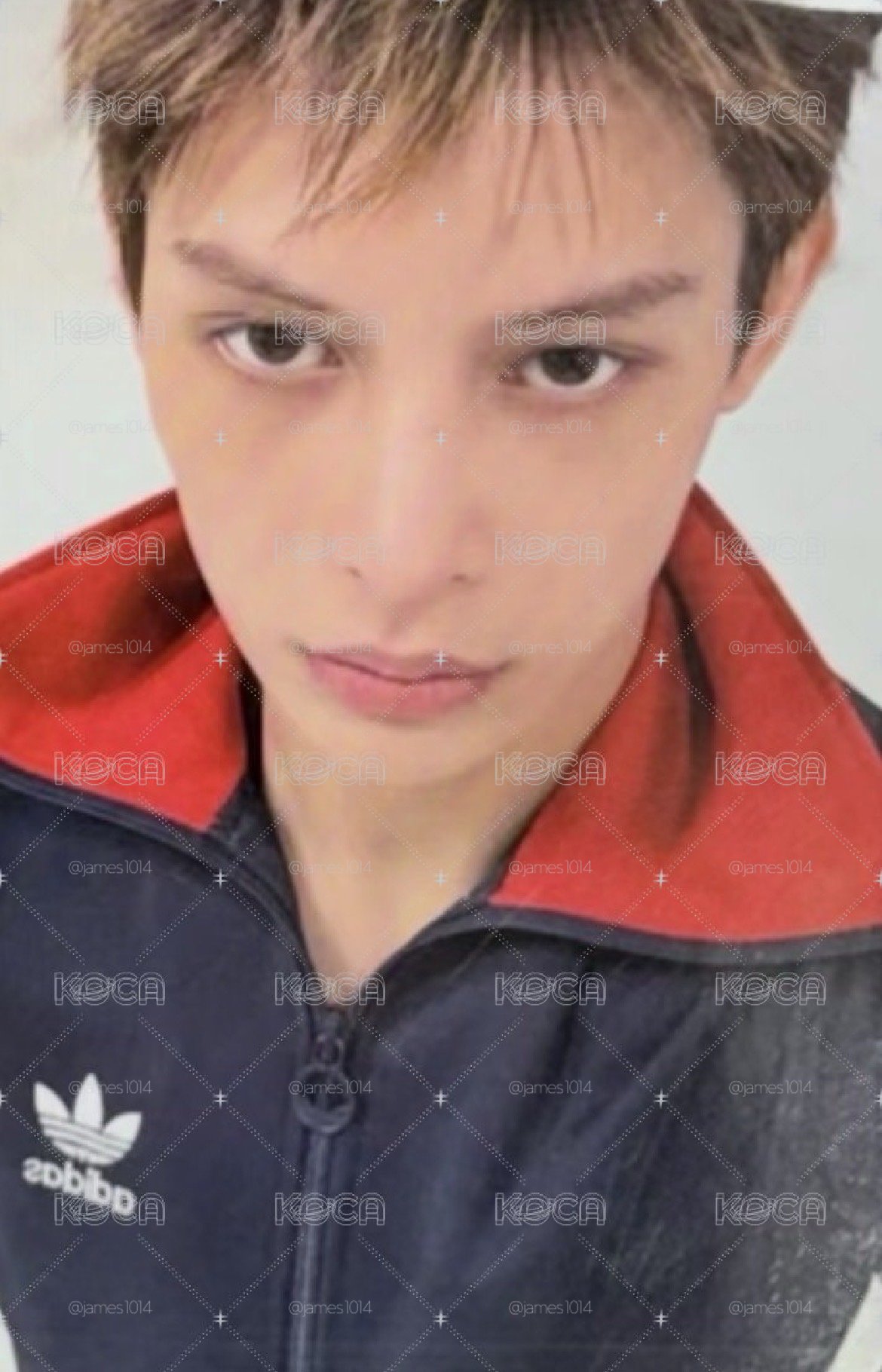 mok凡