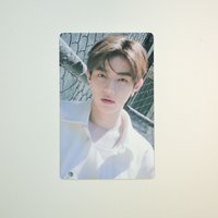 呆呆的昊