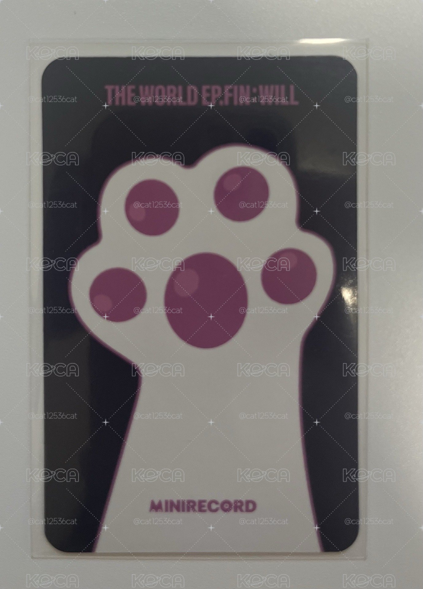 Will MINIRECORD 特典卡 星化貓拳✨