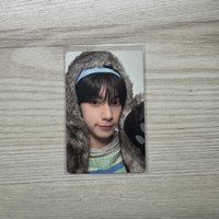 哩哺小狼