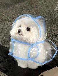 xieeeeeee