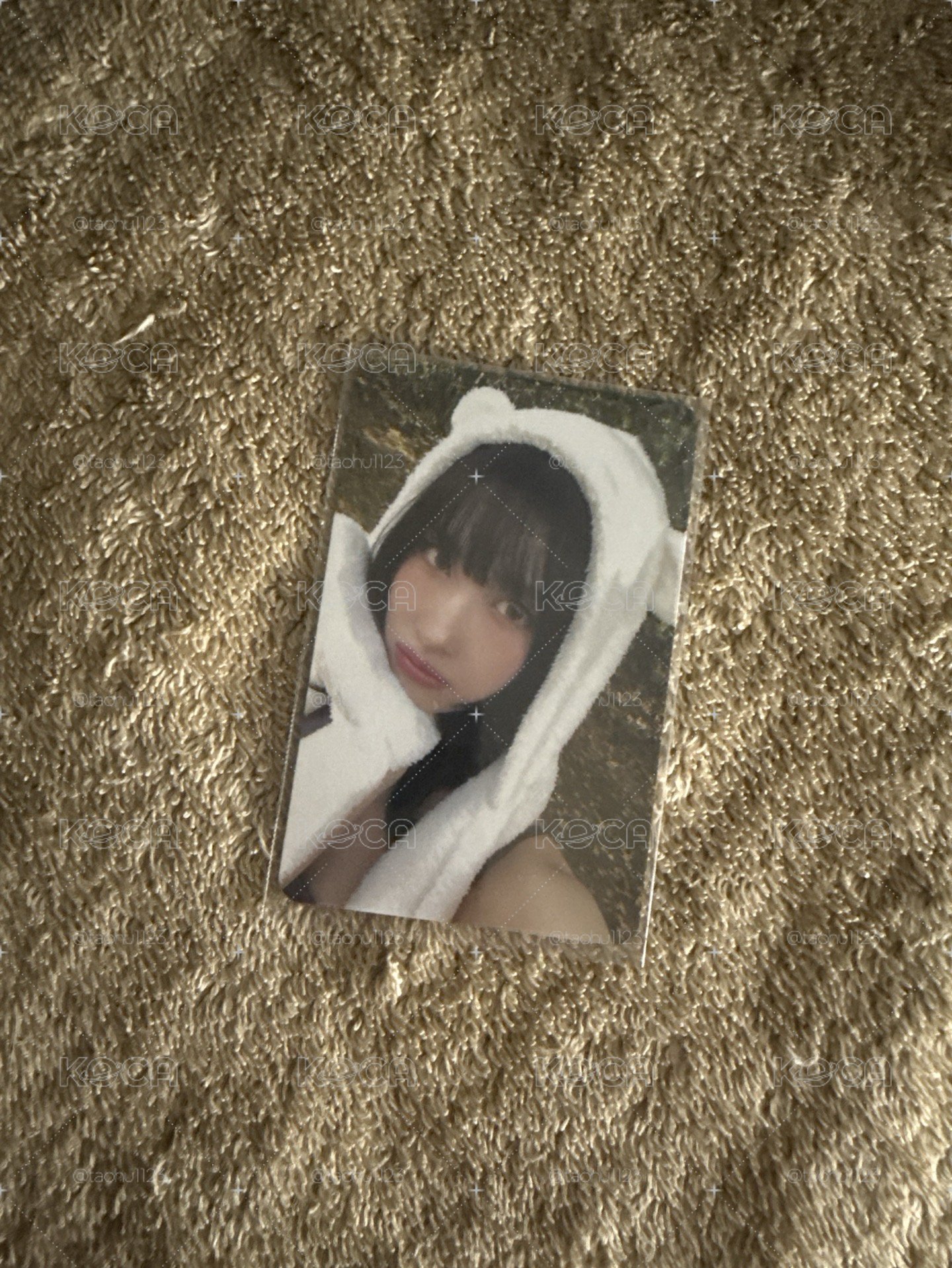迷13 PB 專輯卡 Forever ver.