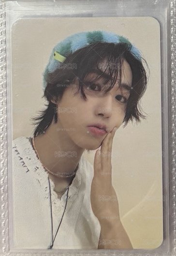 SKZ ATE 毛茸茸專卡毛茸茸城 韓知城 