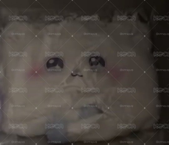 嫄帽 全新未拆
