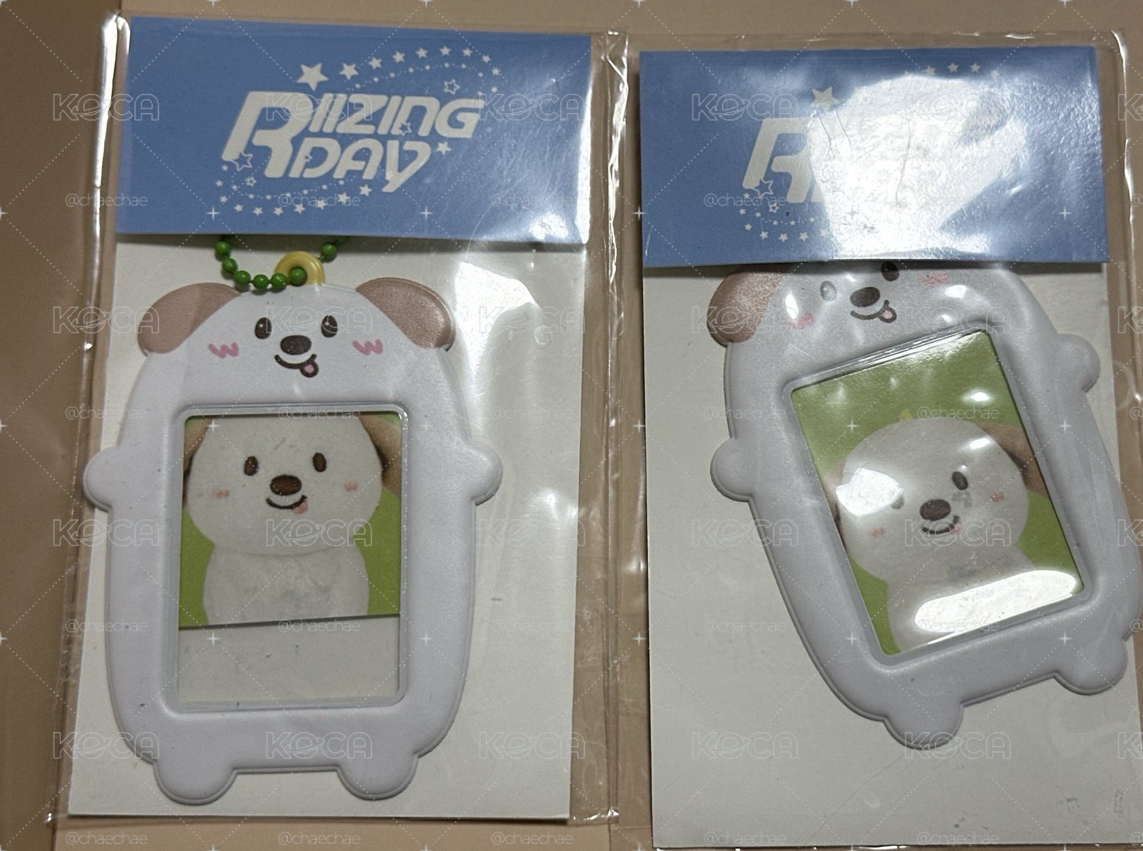 狗龍證件照卡套組
