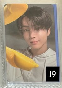 19
