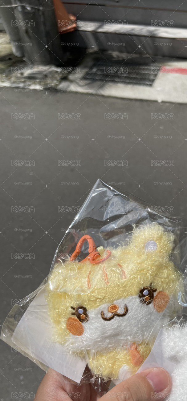 倉鼠🐹