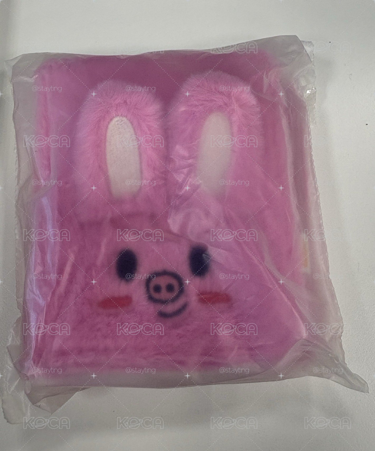 stray kids快閃店豆豆眼卡冊-彬