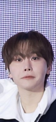 橘子小熊🐻🐻‍❄️🧡