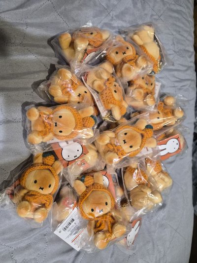 濟州島帶回的限定版米菲兔！