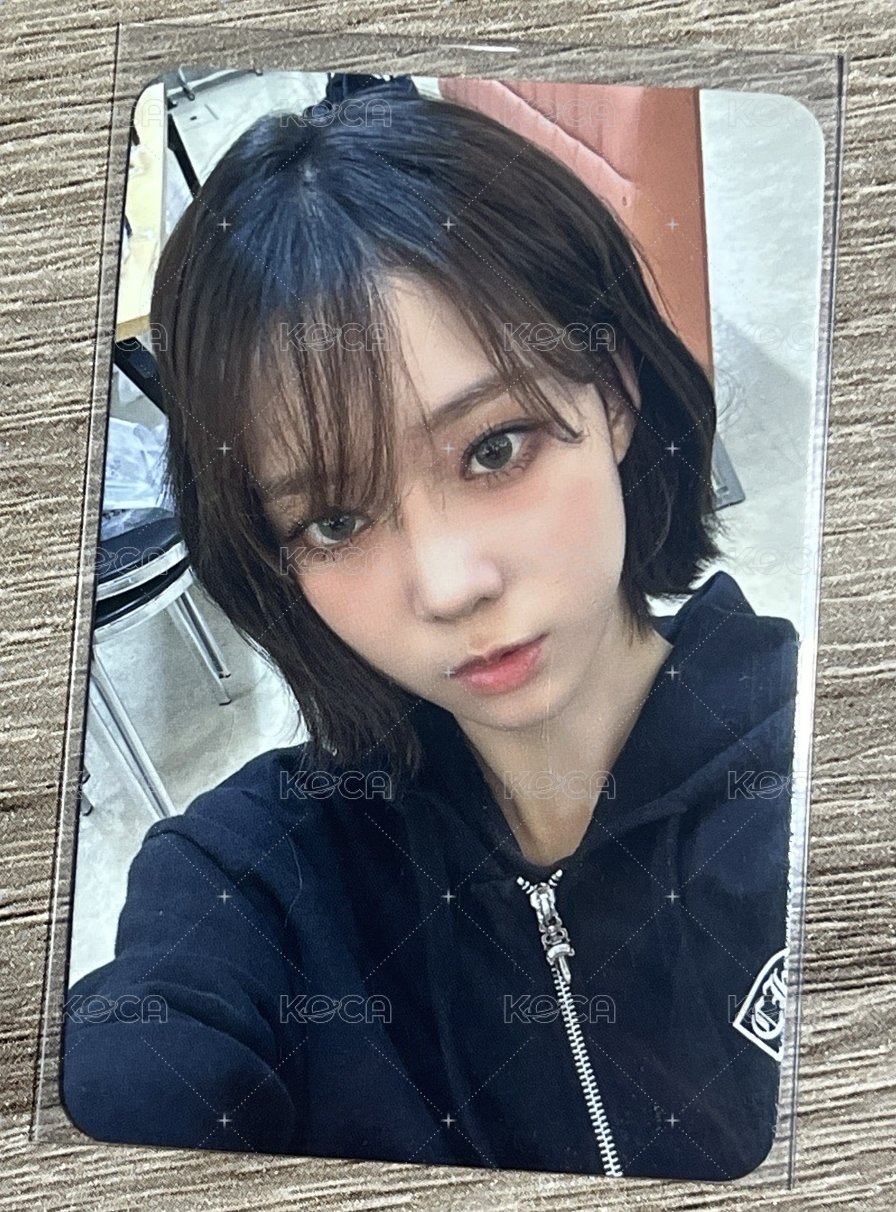 am預售冬