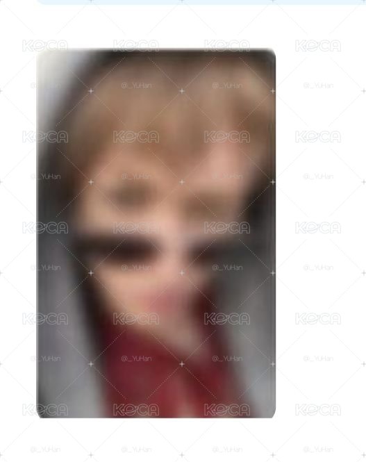 日咖預售馬