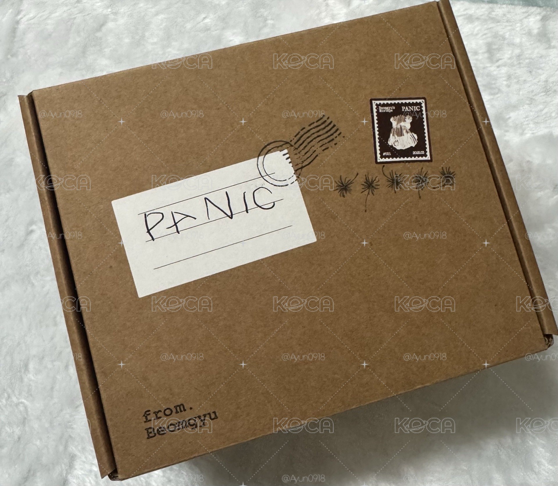 Panic空專