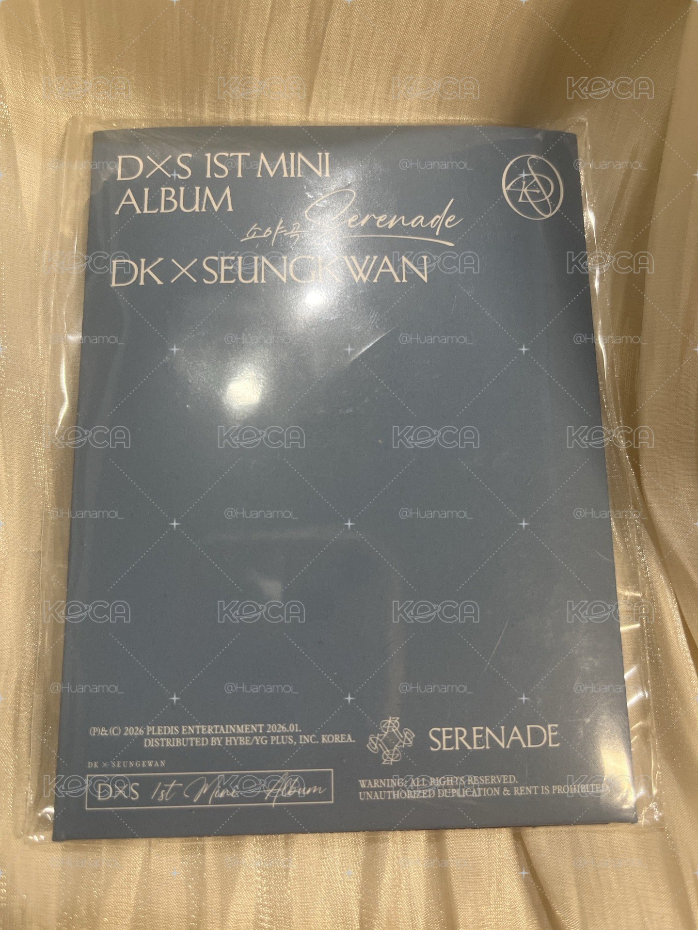 DxS 電子專 勝寛版 未掃