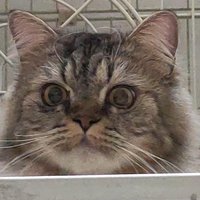 錢包空空