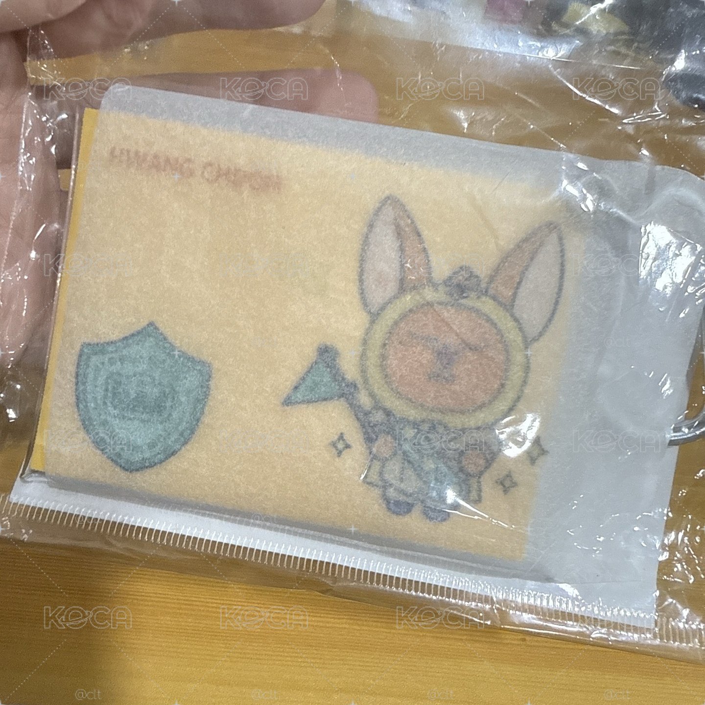 FINDING MOA 背包袋子 PVC包