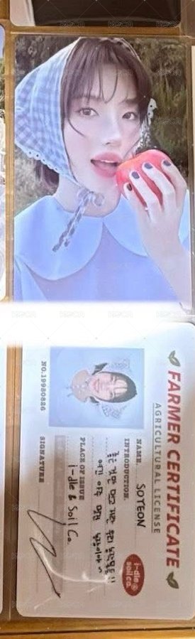 娟年曆卡*2