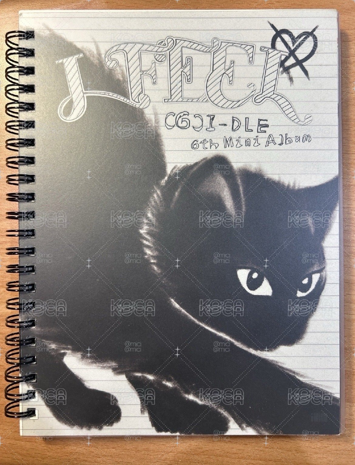 cat 空專