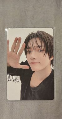 綠版圭
